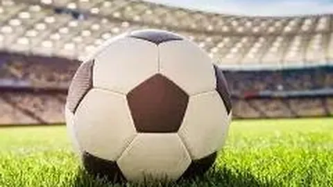 雷竞技RAYBET官方入口 资讯 114930 8sa