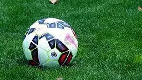 赛恩斯股价上涨0.50%，成交额达5023.93万，展望未来，能否迎来新机遇？