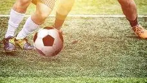 雷竞技RAYBET官方入口 资讯 100136 0b1